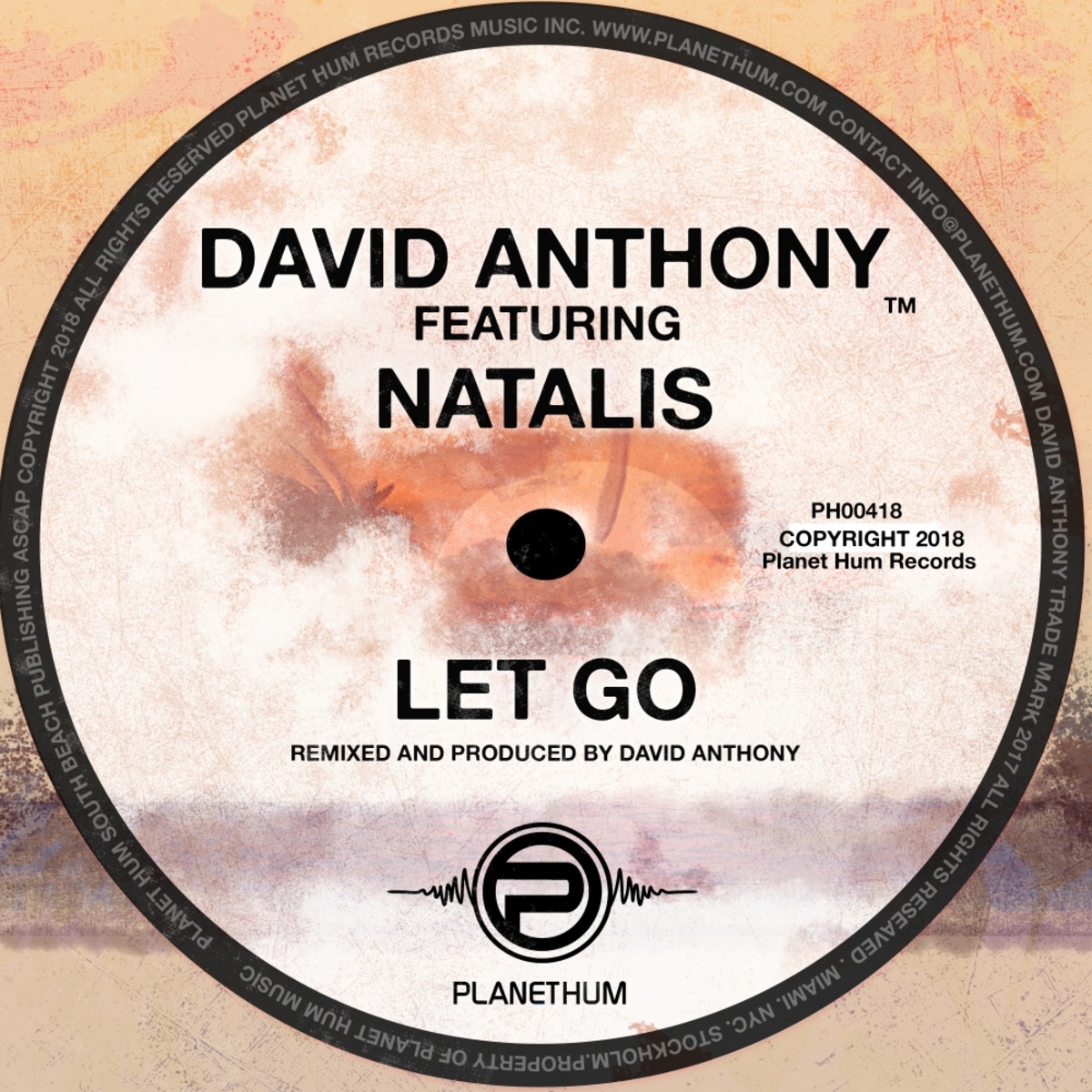 David Anthony ft Natalis - Let Go / Planet Hum
