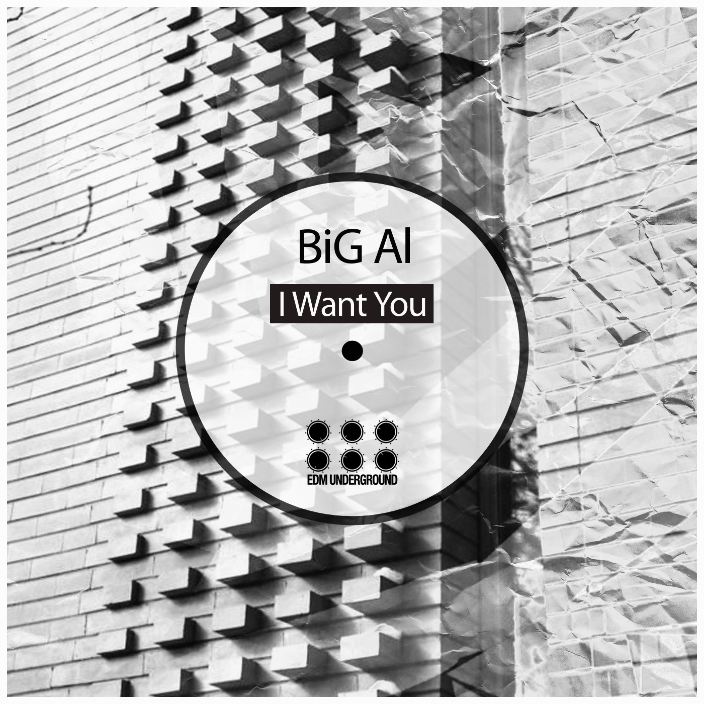 Big Al - I Want You / EDM Underground