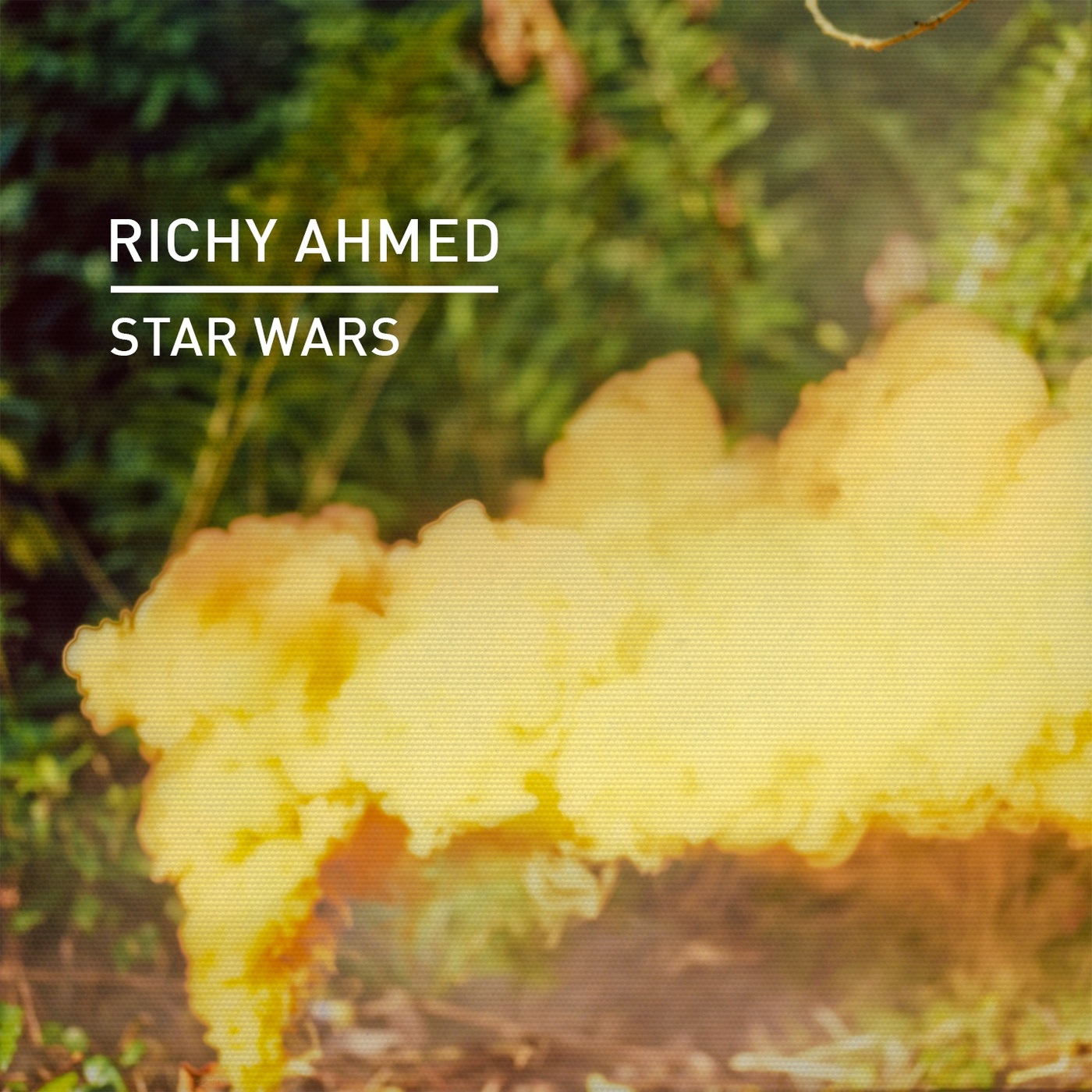 Richy Ahmed - Star Wars / Knee Deep In Sound