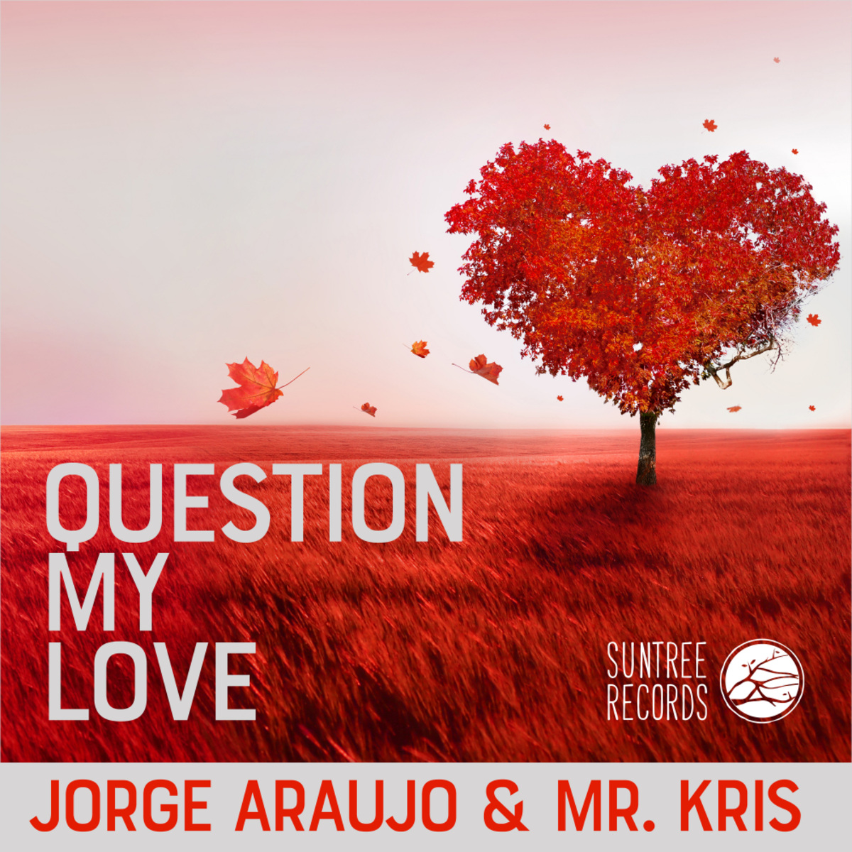 Jorge Araujo & Mr. Kris - Question My Love / Suntree Records