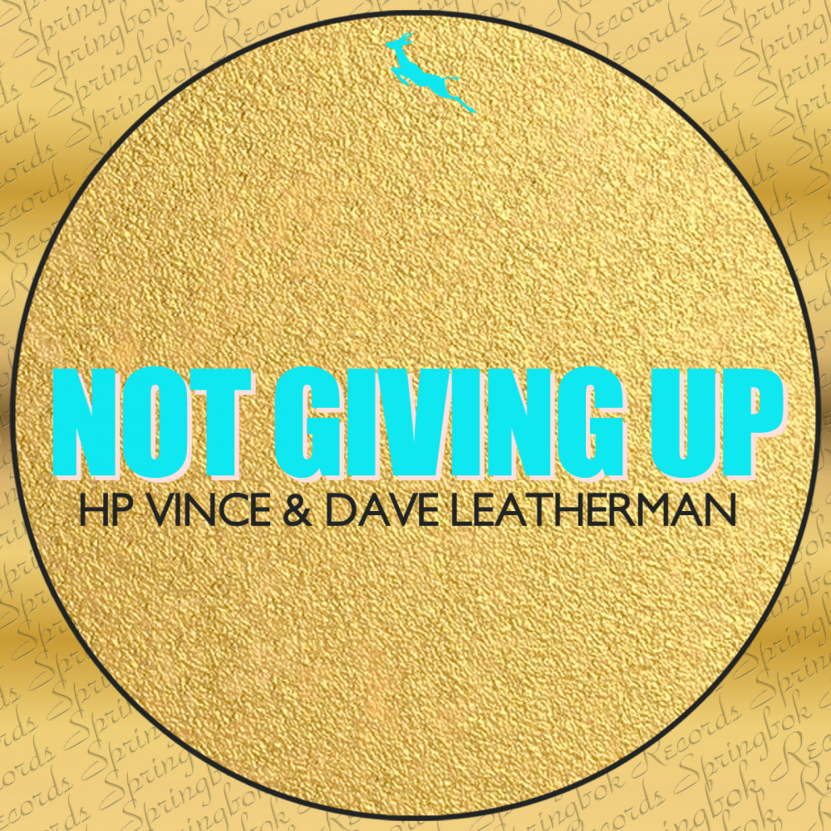 HP Vince & Dave Leatherman - Not Giving Up (Nu Disco Mix) / Springbok Records