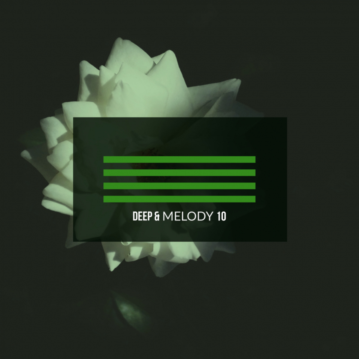 VA - Deep & Melody 10 / Mycrazything Records