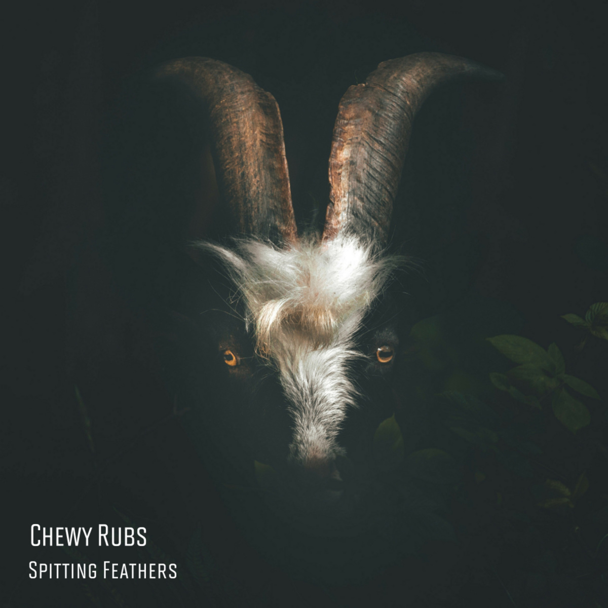 Chewy Rubs - Spitting Feathers / Fall From Grace Records