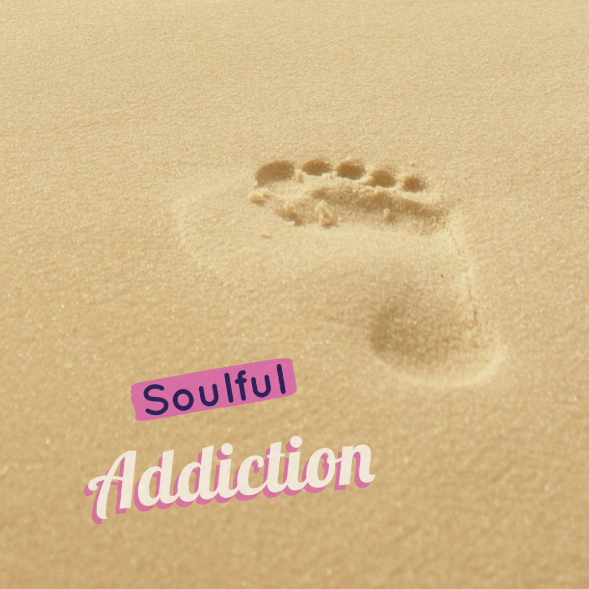 VA - Soulful Addiction / MCT Luxury
