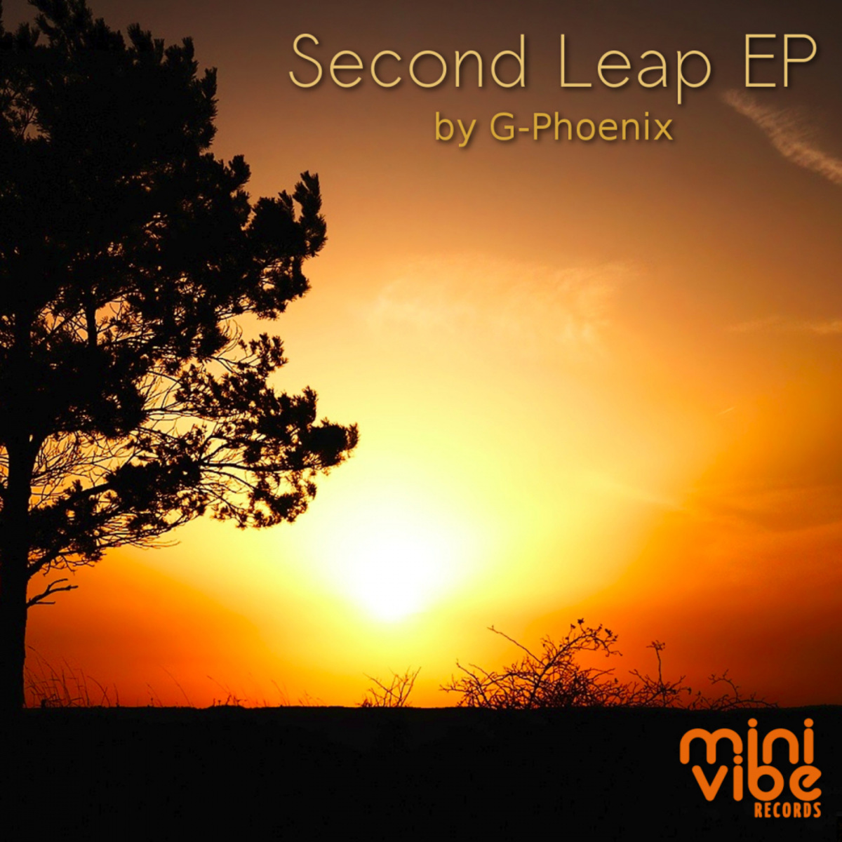 G-Phoenix - Second Leap / Mini Vibe Records
