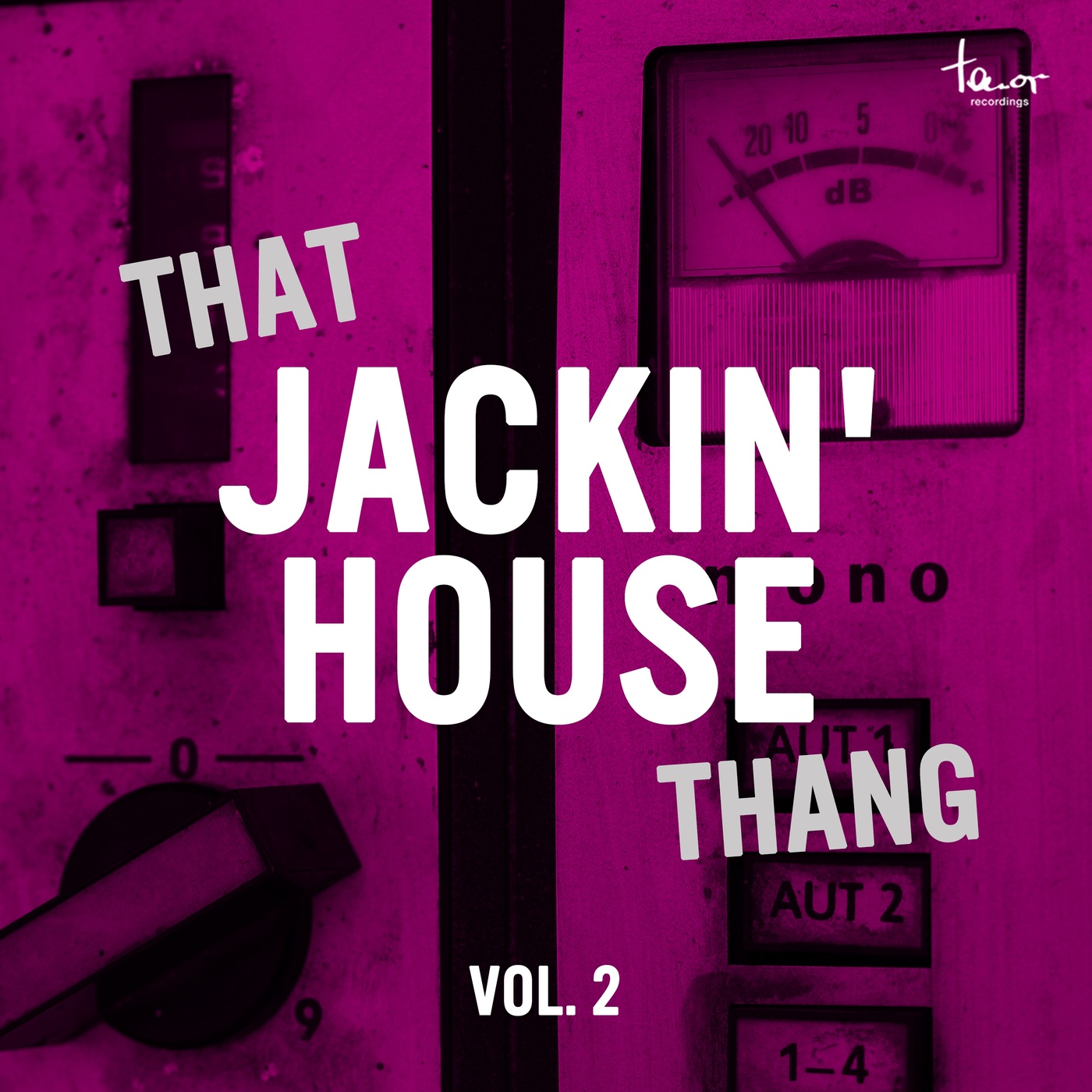VA - That Jackin' House Thang, Vol. 2 / Tenor Recordings