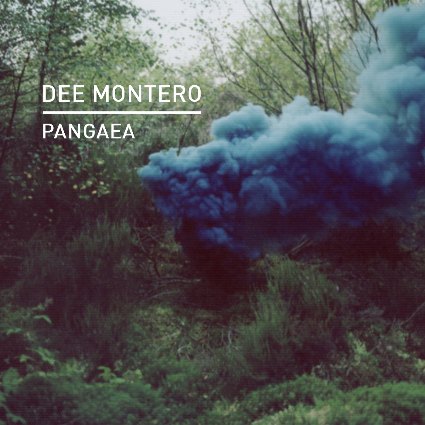 Dee Montero - Pangaea / Knee Deep In Sound