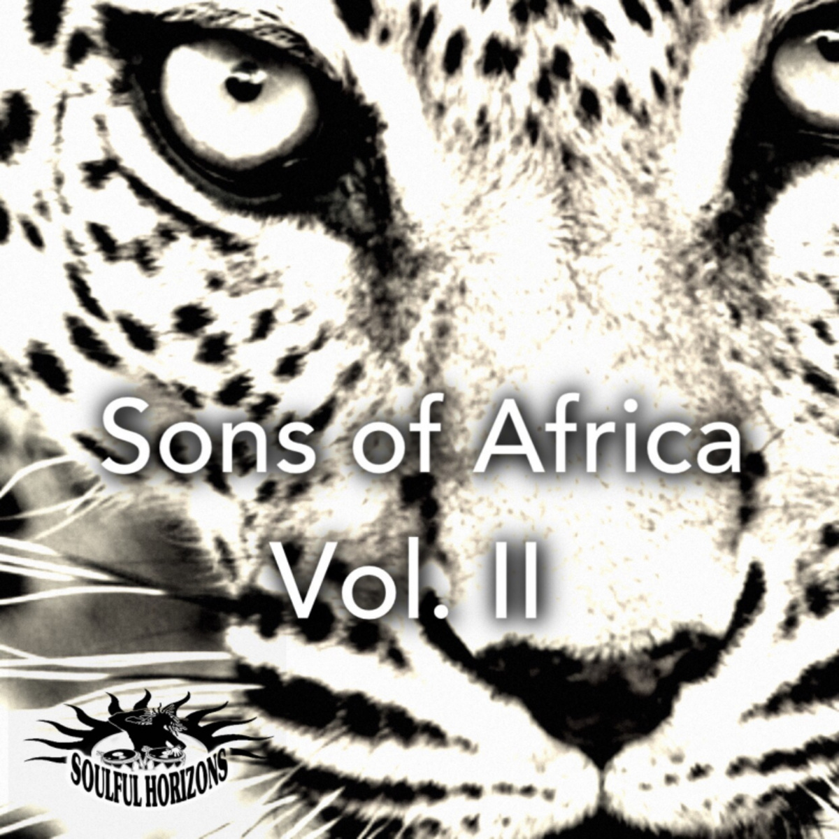 VA - Sons Of Africa, Vol 2 / Soulful Horizons Music