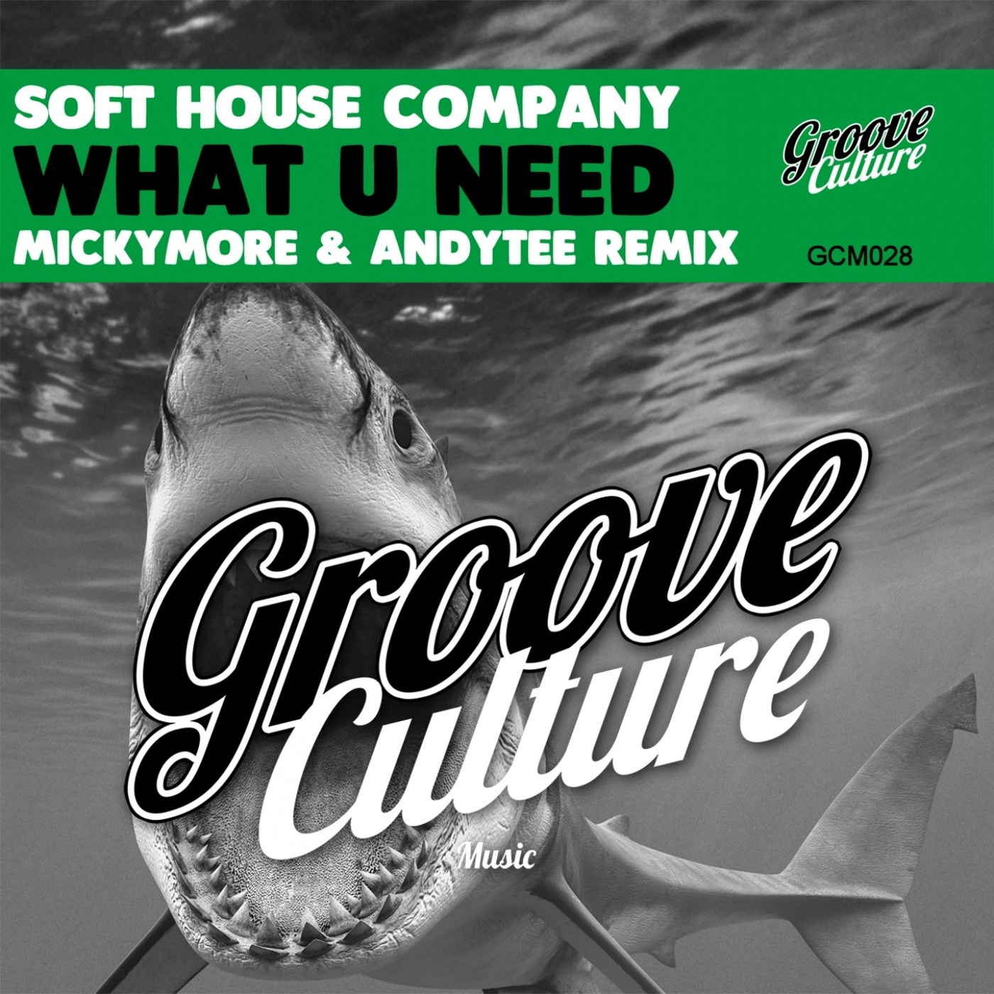Soft House Company - What You Need (Micky More, Andy Tee Remix) / Groove Culture