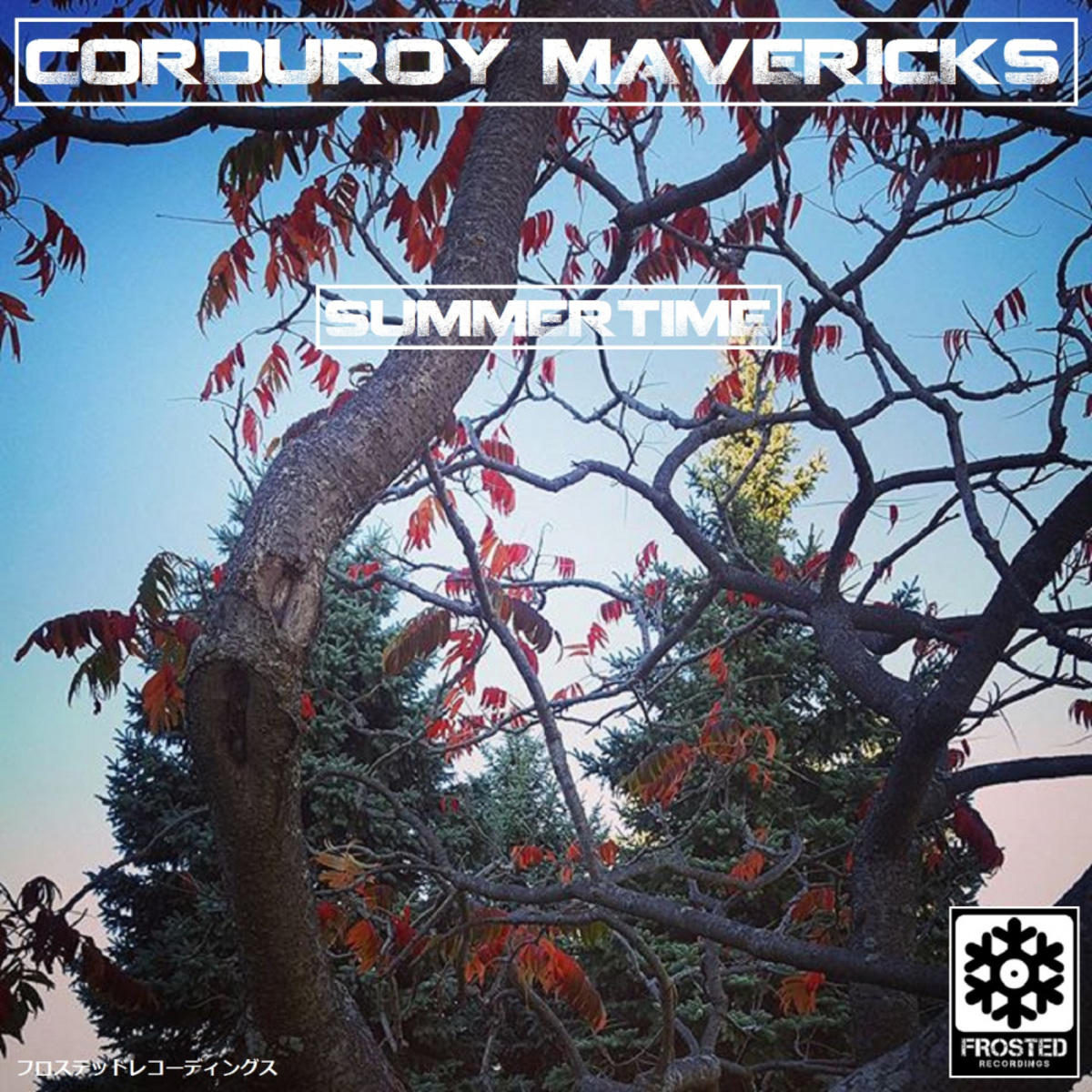 Corduroy Mavericks - Summertime / Frosted Recordings