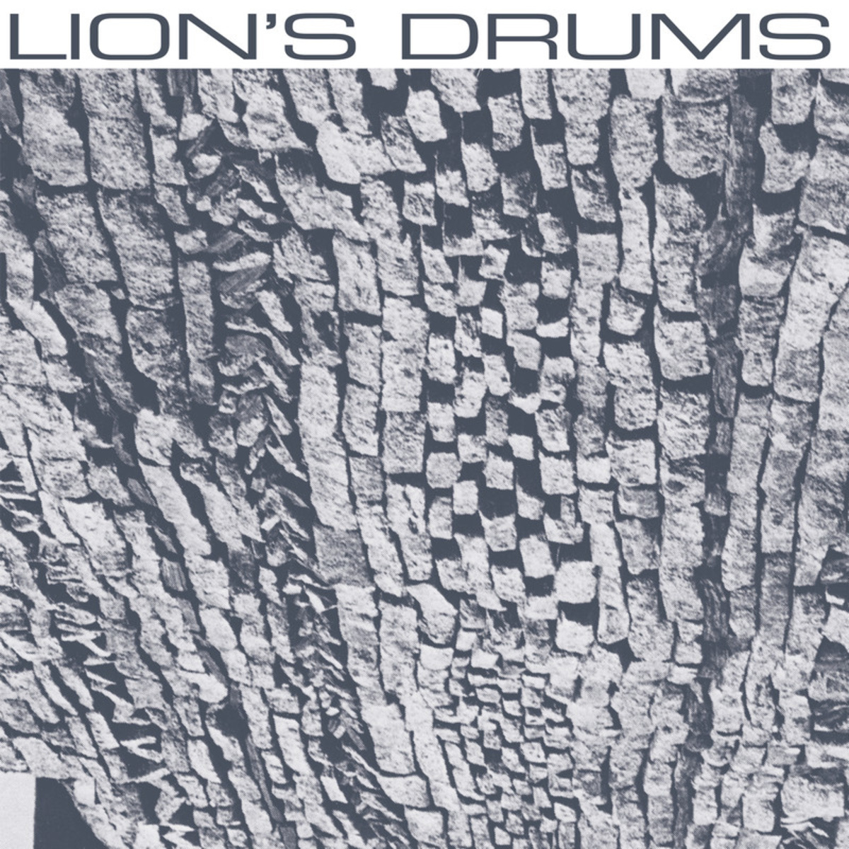 Lion's Drums - Lion's Drums / Hivern Discs