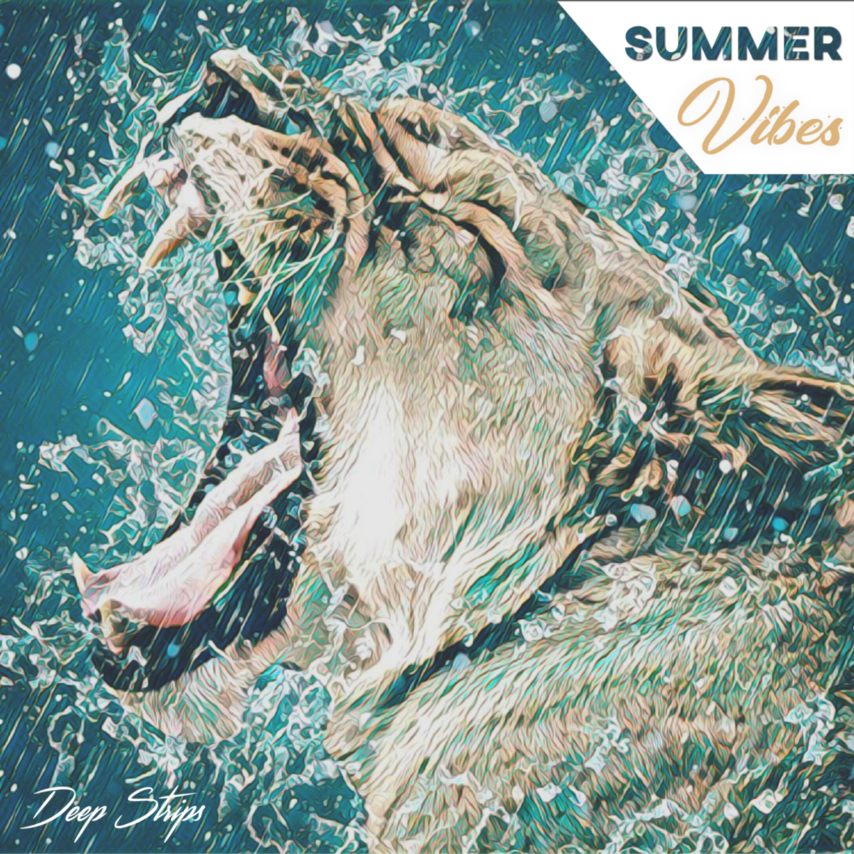VA - Summer Vibes / Deep Strips