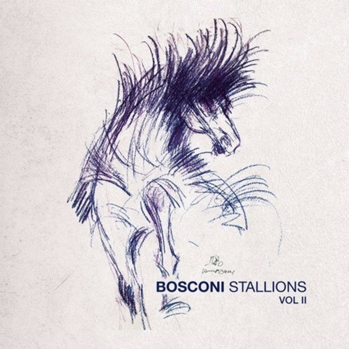 VA - Bosconi Stallions Vol 2 / Bosconi Records