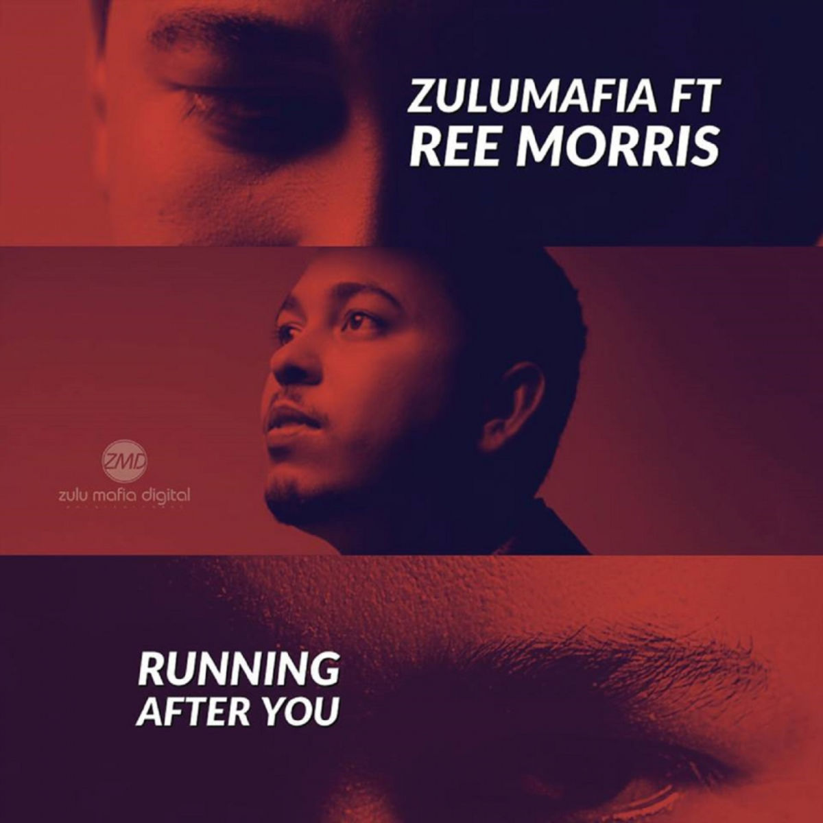 ZuluMafia ft Ree Morris - Running After You / Zulumafia Digital