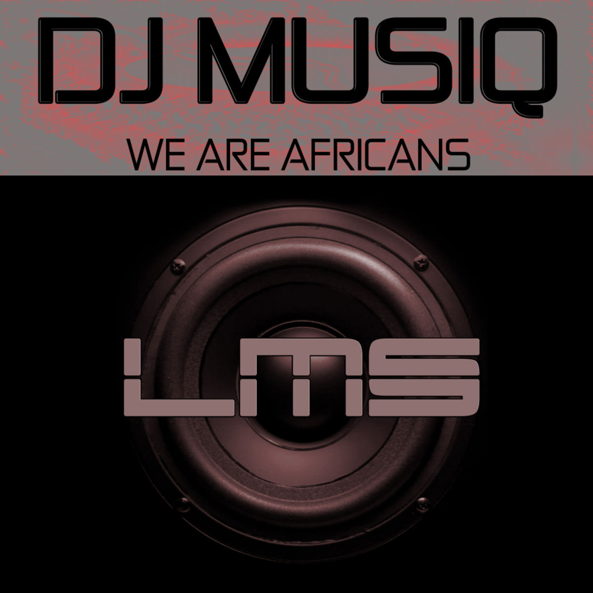 DJ Musiq - We Are Africans / LadyMarySound International