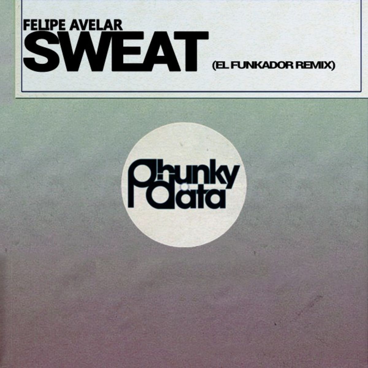 Felipe Avelar - Sweat (El Funkador Remix) / Phunky Data