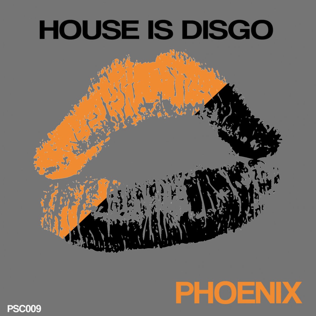 House Is Disgo - Phoenix / The Psycho Social Club
