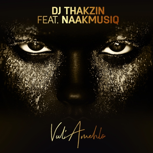 DJ Thakzin feat. Naak Musiq - Vul'amehlo / Cap Rhythms pty (Ltd)