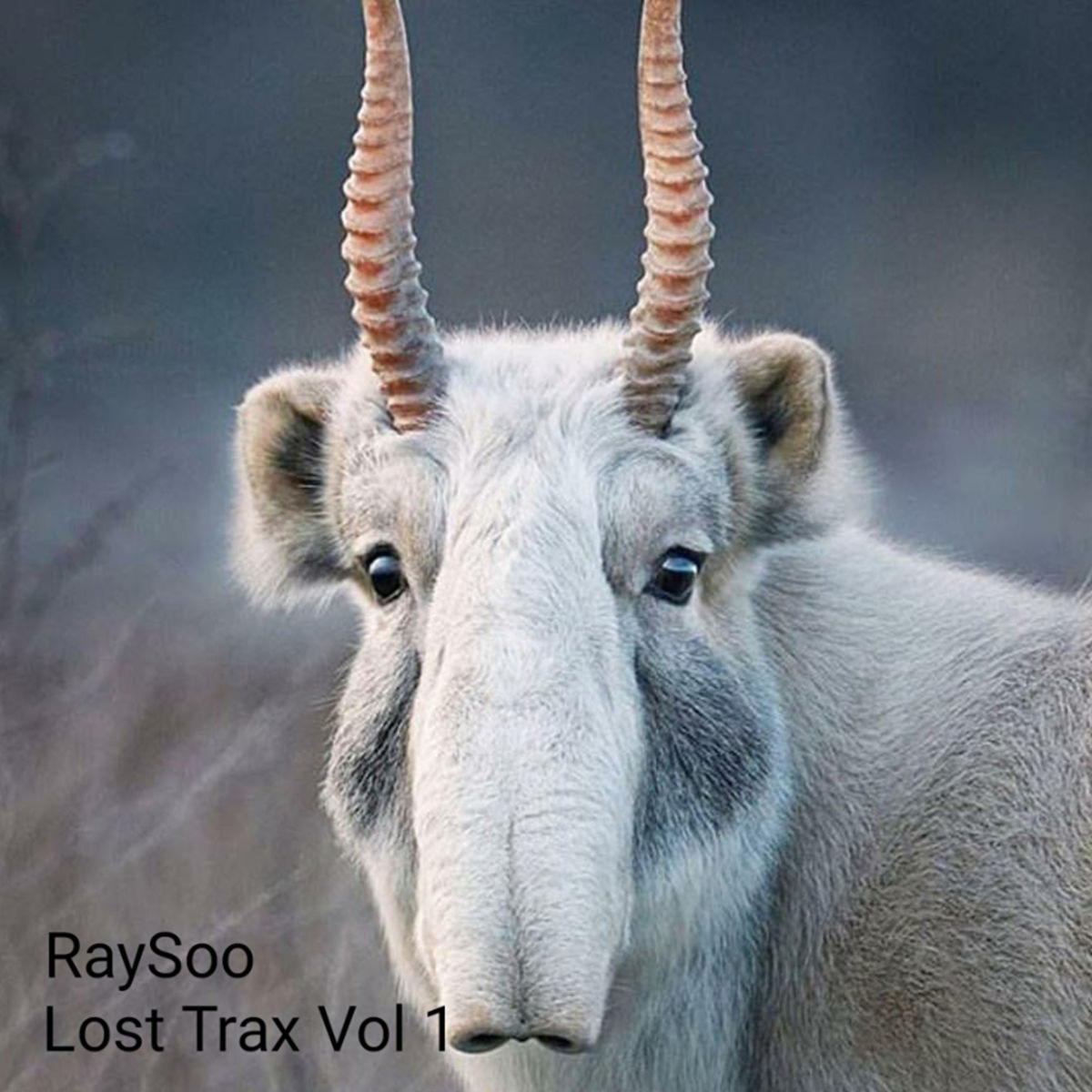 RaySoo - Lost Trax Vol 1 / Love International
