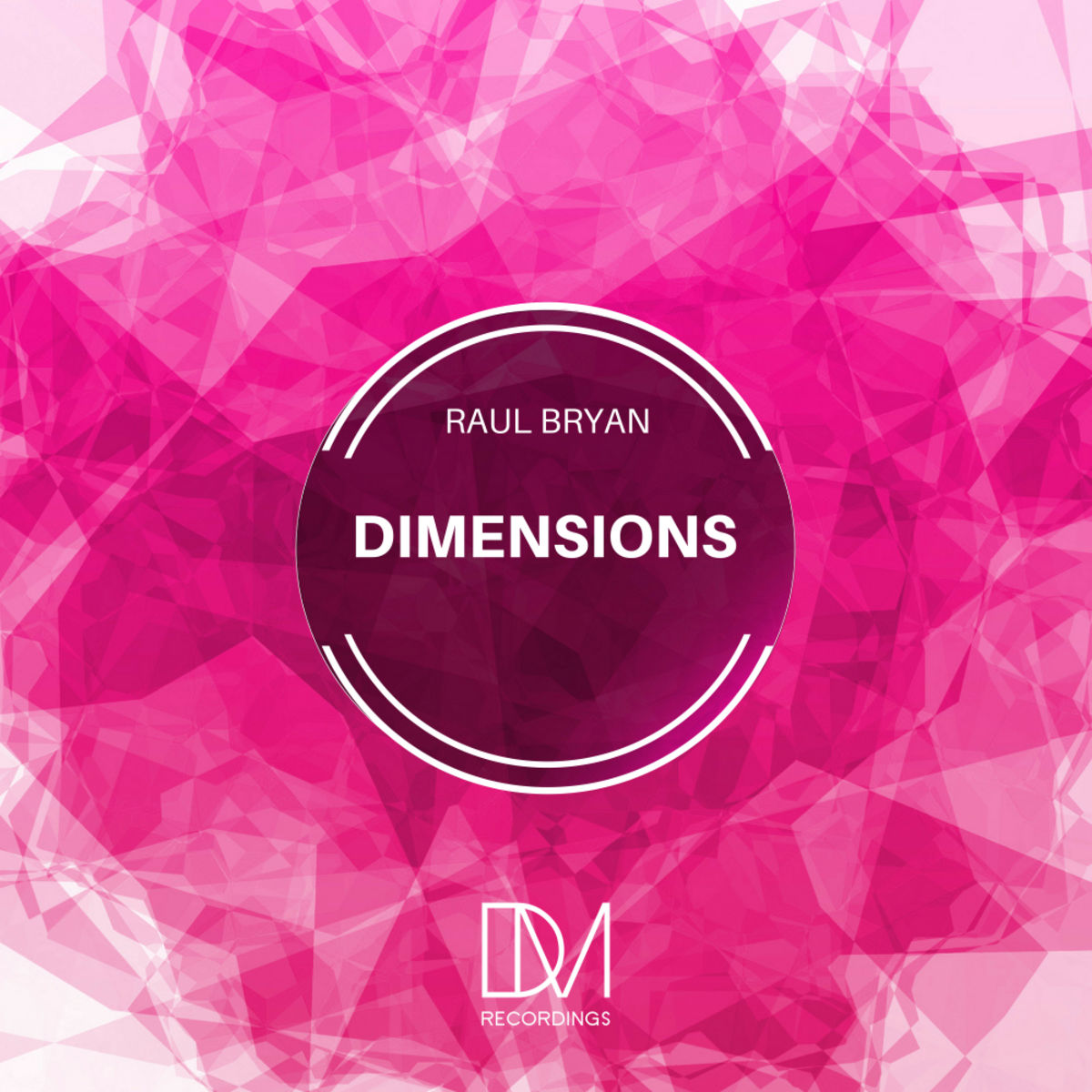 Raul Bryan - Dimensions / DM.Recordings