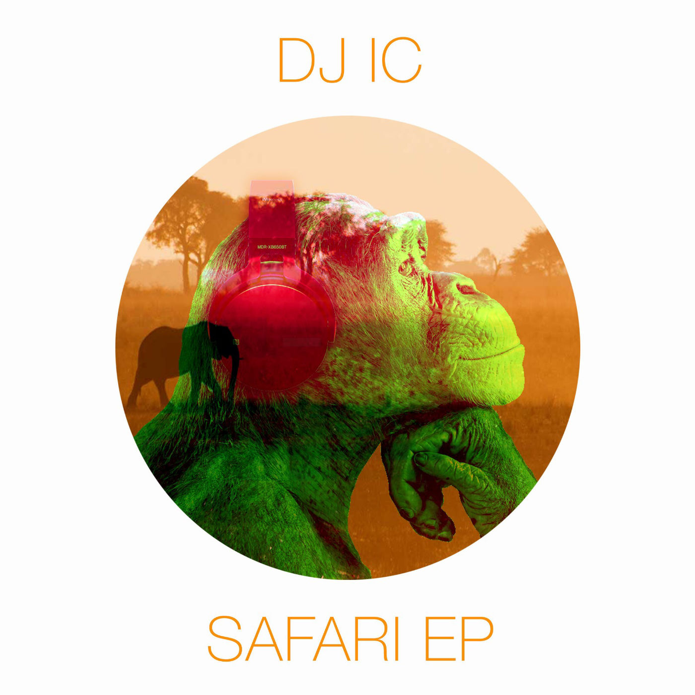 DJ IC - SAFARI EP / DUH Recordings