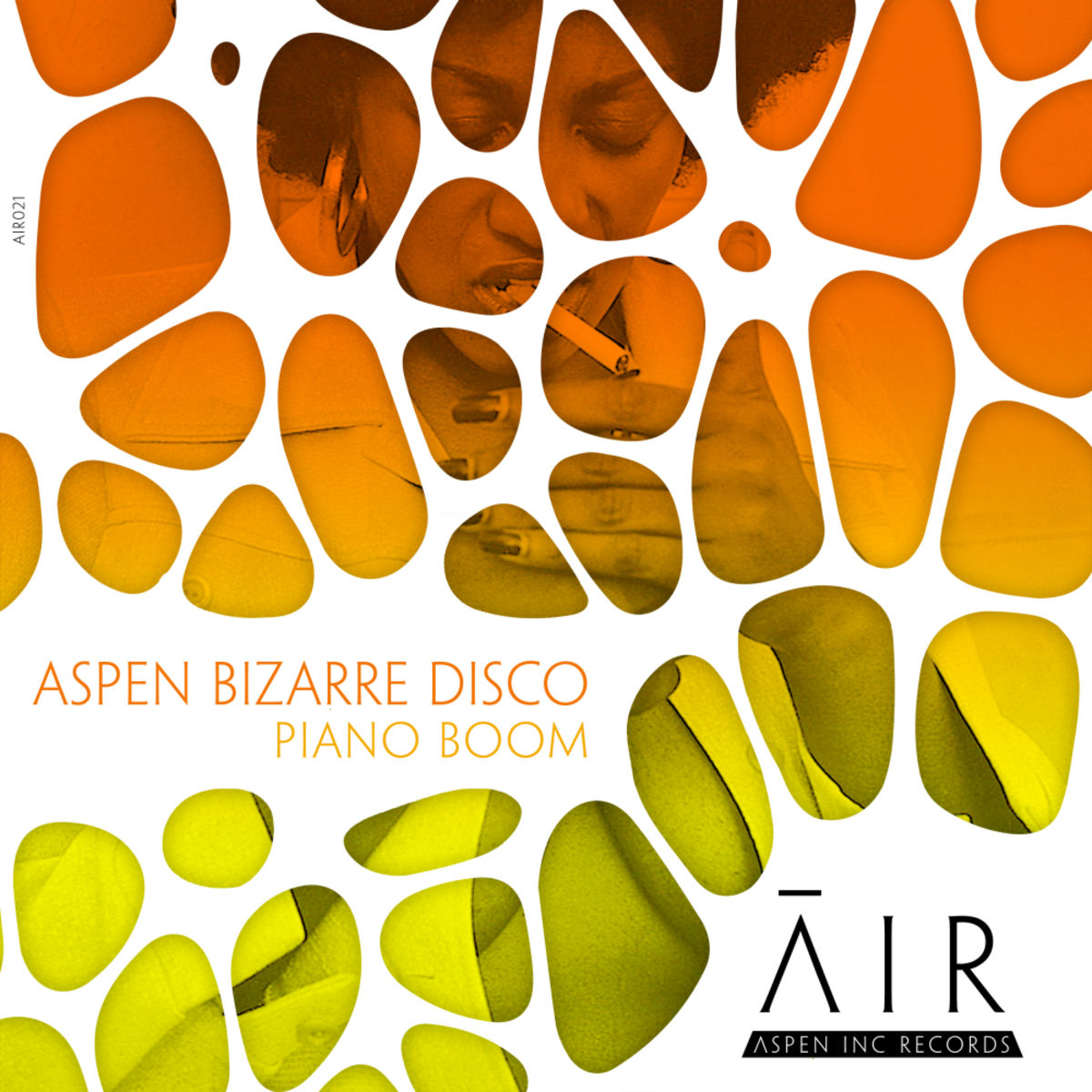 aspen bizarre disco - Piano Boom / Aspen Inc Records