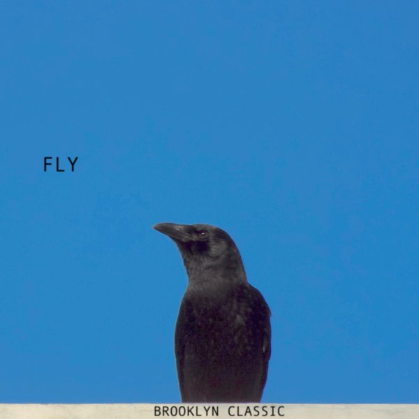 Brooklyn Classic - Fly / Funkskool Digital