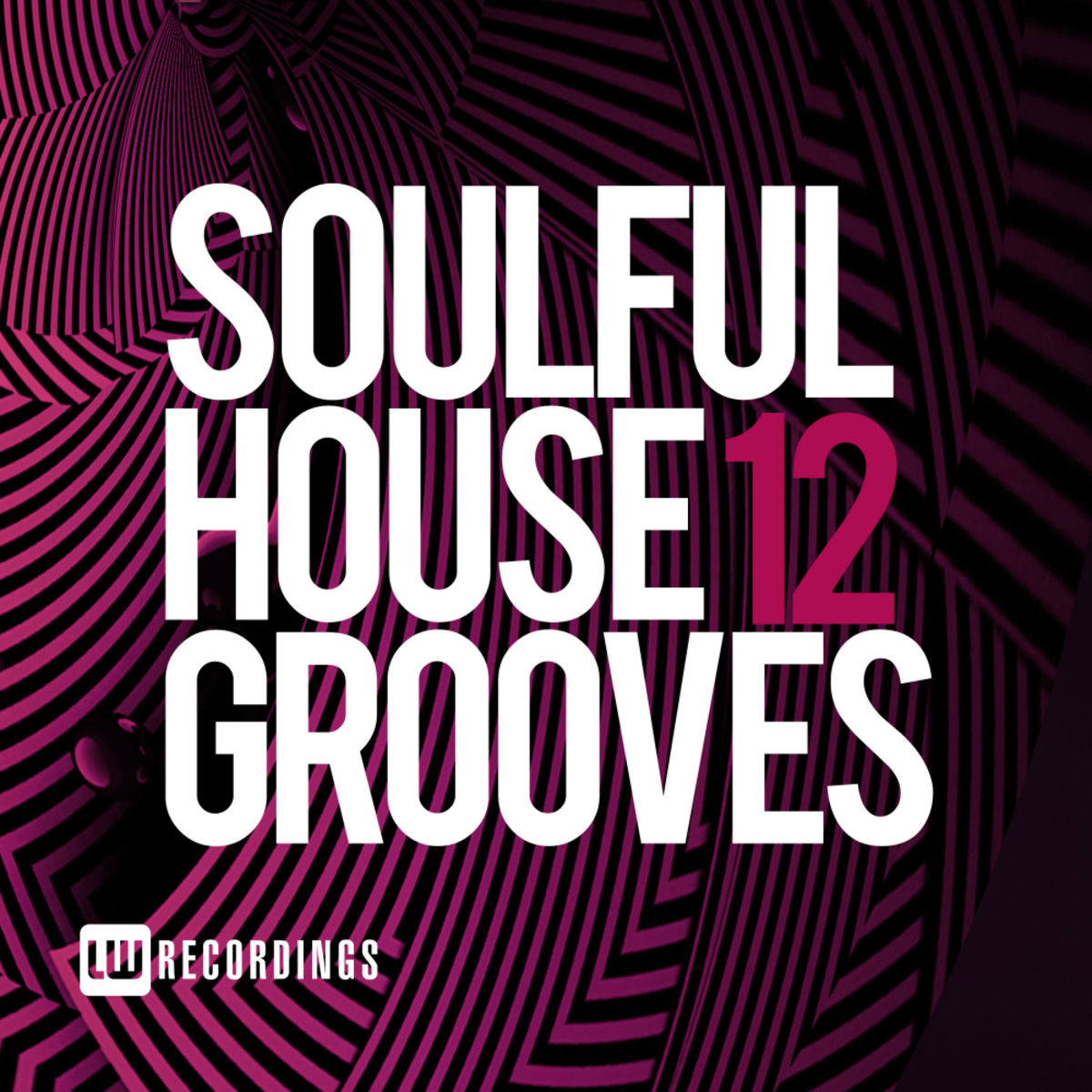 VA - Soulful House Grooves, Vol. 12 / LW Recordings