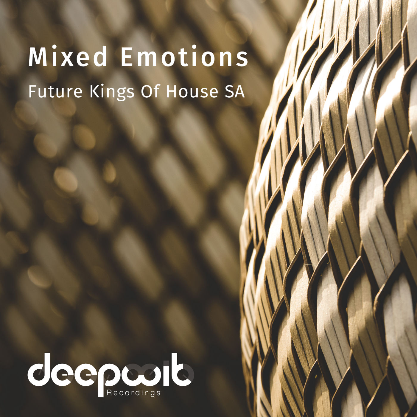 Future Kings of House SA - Mixed Emotions / DeepWit Recordings