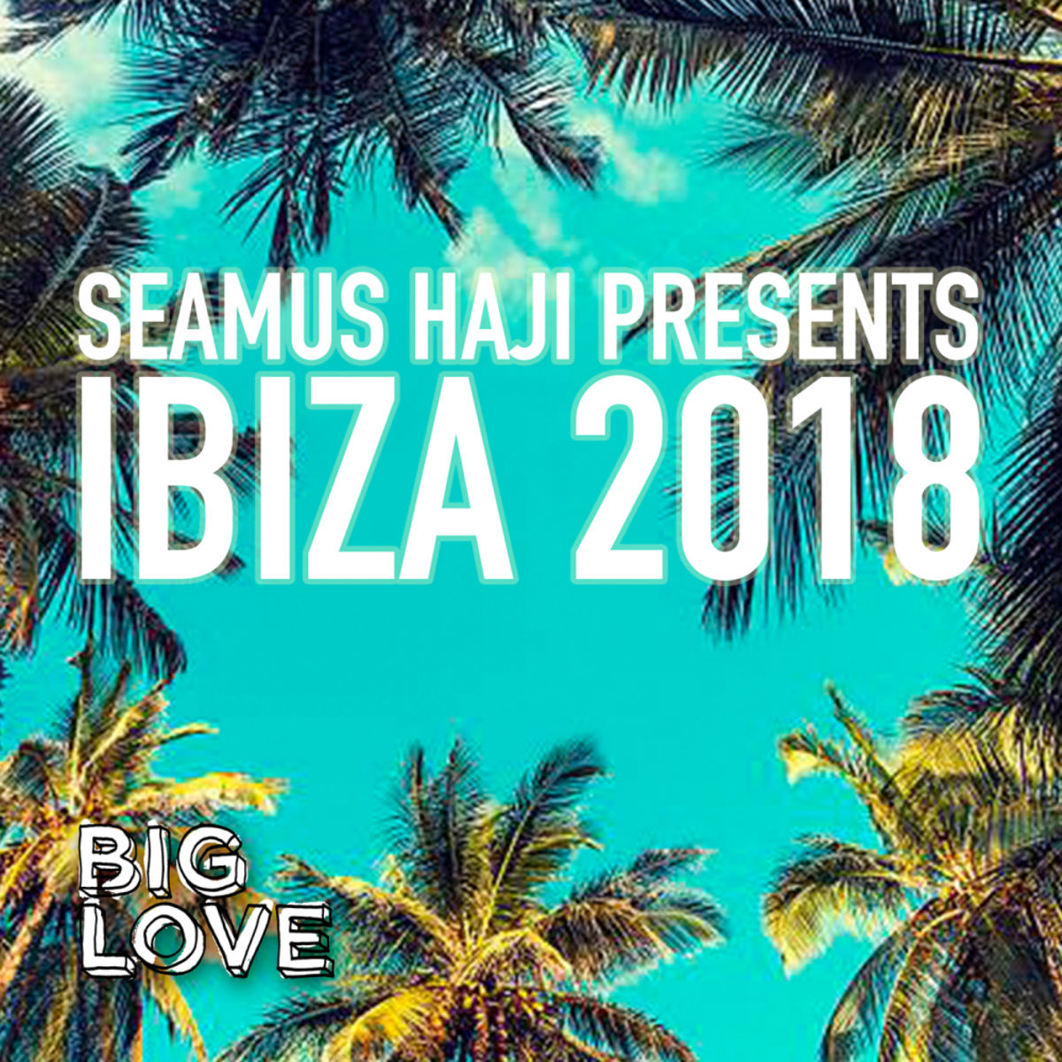 VA - Seamus Haji Presents Ibiza 2018 / Big Love