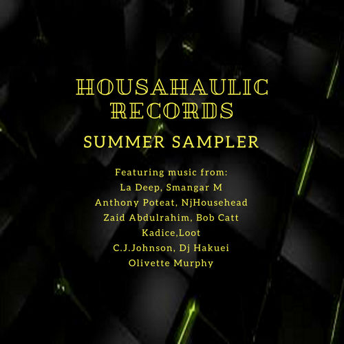 VA - Housahaulic Records Summer Sampler / Housahaulic Records