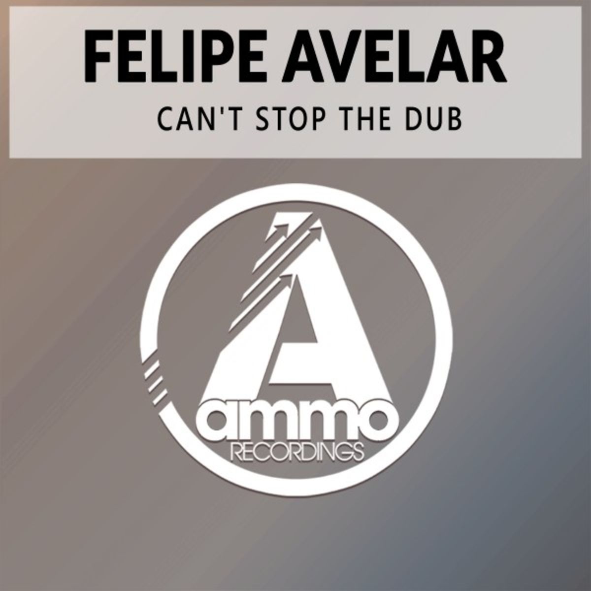Felipe Avelar - Can't Stop the Dub / Ammo Recordings