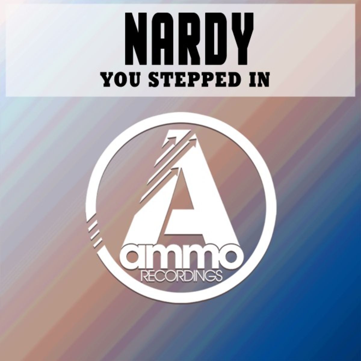 Nardy - You Stepped In / Ammo Recordinsg