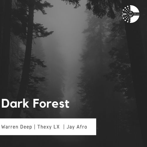 Warren Deep & Thexy LX feat. Jay Afro - Dark Forest / Sol Native MusiQ