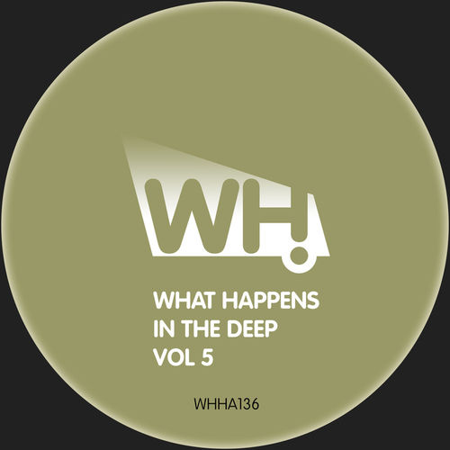 VA - What Happens in the Deep Vol 5 / What Happens