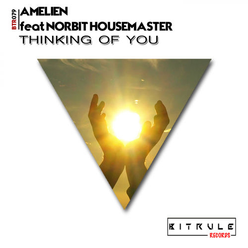 Amelien feat. Norbit Housemaster - Thinking of You / Bit Rule Records