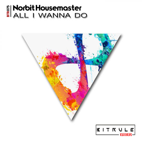 Norbit Housemaster - All I Wanna Do / Bit Rule Records