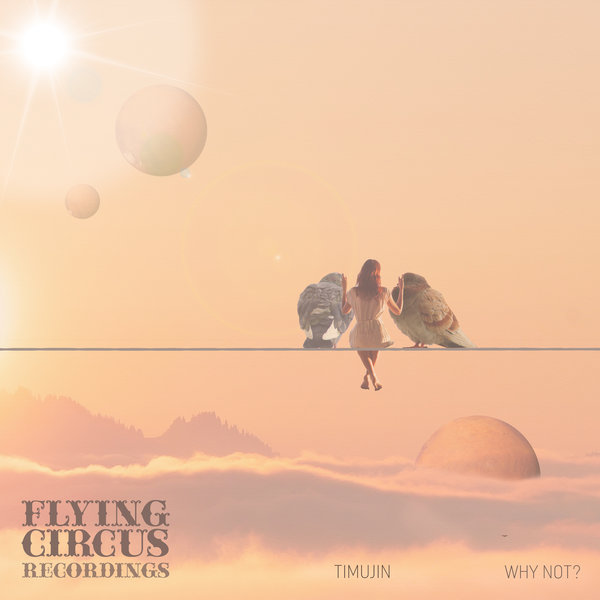 Timujin - Why Not? EP / Flying Circus Recordings