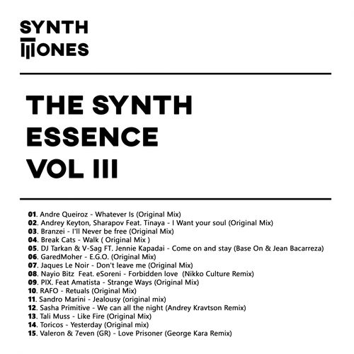 VA - Synth Tones, Vol. 3 / Synth Tones