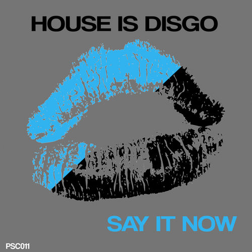 House Is Disgo - Say It Now / The Psycho Social Club