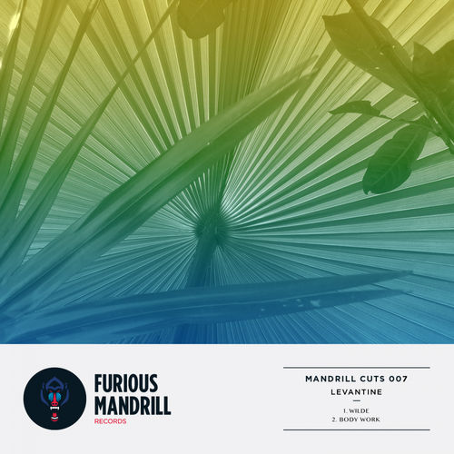 Levantine - Mandrill Cuts 007 / Furious Mandrill Records