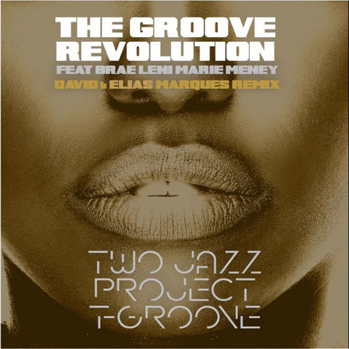 Two Jazz Project - The Groove Revolution (David & Elias Marques Remix) / LAD Publishing & Records