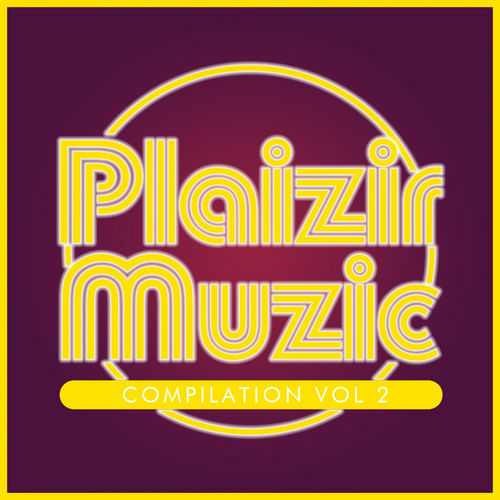 VA - Compilation Plaizir Muzic, Vol. 2 / Plaizir Muzic