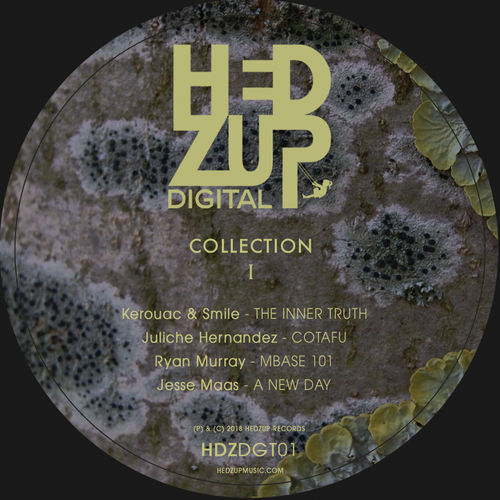 VA - Collection I / Hedzup Records
