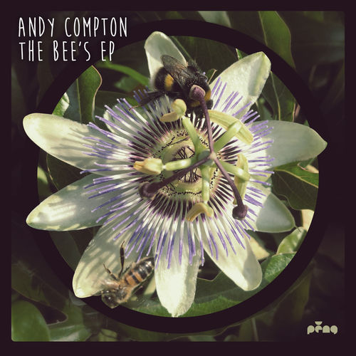 Andy Compton - The Bees EP / Peng Records