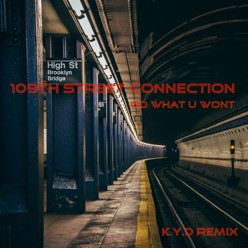109Th Street Connection - Do What You Want / Vier Deep Digital