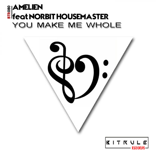 Amelien feat. Norbit Housemaster - You Make Me Whole / Bit Rule Records