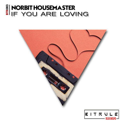 Norbit Housemaster - If You Are Loving / Bit Rule Records