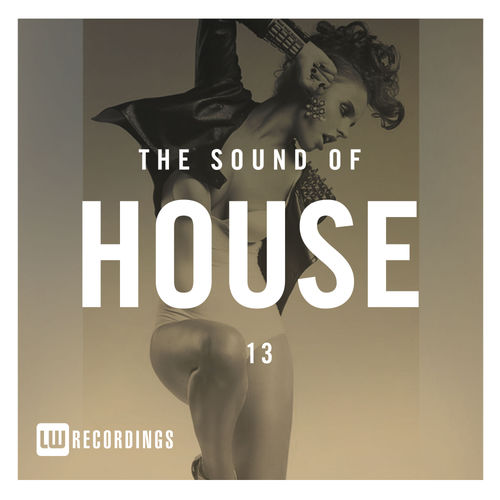VA - The Sound Of House, Vol. 13 / LW Recordings