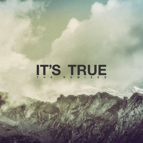 Michael Ashe - It's True The Remixes / Crevasse Records
